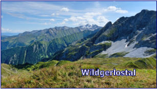 Wildgerlostal