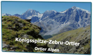 Königsspitze-Zebru-Ortler Ortler Alpen
