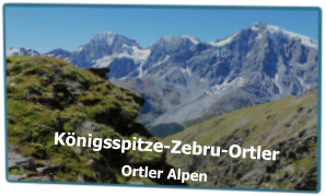 Königsspitze-Zebru-Ortler Ortler Alpen