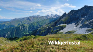 Wildgerlostal